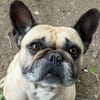PACO (En cours d'adoption)