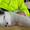 Unser Wunder Agata sucht liebes Home
