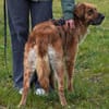 Lulu sucht engen Familienanschluss