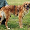Lulu sucht engen Familienanschluss