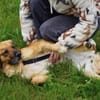 Lulu sucht engen Familienanschluss