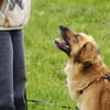 Lulu sucht engen Familienanschluss