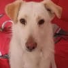 RENI, verschmust und verspielt