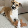 Aktive und sportliche Ellie