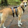 Aktive und sportliche Ellie