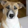 Aktive und sportliche Ellie