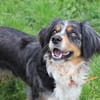 Missy (réservée)