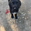 Tuti