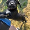 Tuti