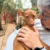 ALDO (Martina)