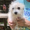 Mariah