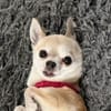 Seniorenlady sucht ihren Ruhesitz