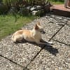 Seniorenlady sucht ihren Ruhesitz