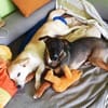 Amali ist einfach nur bezaubernd + lieb!