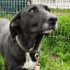 Mira sucht ihre Familie