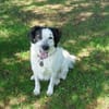 Laiko -PLZ 47239 Duisburg