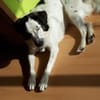 Laiko -PLZ 47239 Duisburg