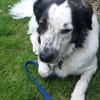 Laiko -PLZ 47239 Duisburg