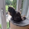 ihre Hoheit Frau Flausch Rheingau