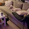 Beto, sensibler Welpe sucht Zuhause