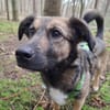 Pino - ist offen und interessiert