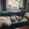 Pino - ist offen und interessiert