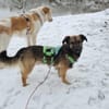 Pino - ist offen und interessiert