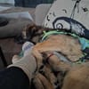 Pino - ist offen und interessiert