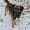 Pino - ist offen und interessiert