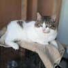Tiny, lebenslustiger Herzensbrecher, 9M