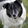 Ginny sucht ihre Familie