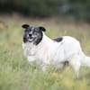 Ginny sucht ihre Familie