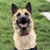 NALA