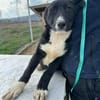 Woopy, suche zuverlässige Menschen