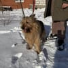 Betty sucht ihr liebevolles Zuhause