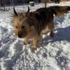 Betty sucht ihr liebevolles Zuhause