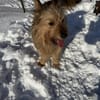 Betty sucht ihr liebevolles Zuhause