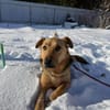 Ellie sucht ihr liebevolles Zuhause