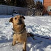 Ellie sucht ihr liebevolles Zuhause