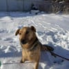 Ellie sucht ihr liebevolles Zuhause