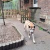 Odin
