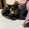 Lola sucht ihr Für-immer-Zuhause 💛