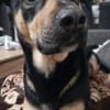 Maylo sucht dringend einen neuen Platz