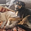 Maylo sucht dringend einen neuen Platz
