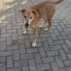 Senior Alfi sucht Seniorenplatz