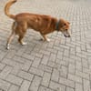 Senior Alfi sucht Seniorenplatz