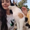 PILI
