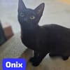 ONIX
