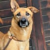 SALMA (Maria)