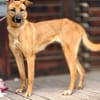 SALMA (Maria)